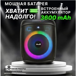 Колонка 08" (20-68 DANCE BOX) динамик 1шт/8" ELTRONIC с TWS