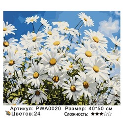 PH45 PWA0020, 40х50 см