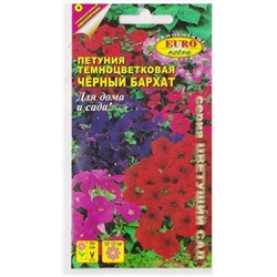 Петуния Черный Бархат (Код: 67323)