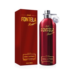 Fontela Premium - Soul Captain 100 ml