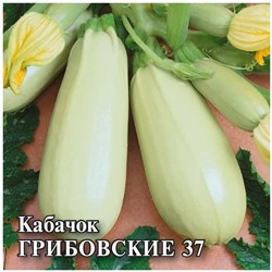 Кабачок Грибовские 37  25,0 г (цена за 1 шт)