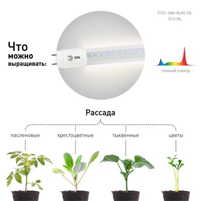 Фитолампа для растений светодиодная ЭРА FITO-18W-Ra90-Т8-G13-NL полного спектра 18 Вт Т8 G13   10472