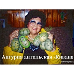 Семена почтой Ангурия антильская (кивано) или антильский огурец - 10 семян Семенаград (Россия)
