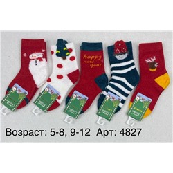 Детские новогодние носки Kataya