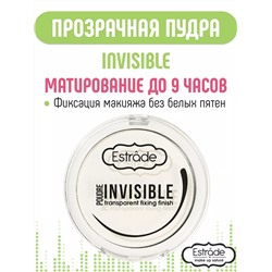 ES Пудра-финиш 100 Poudre Invisible прозрачная