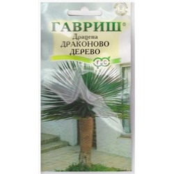 Драцена Драконово дерево (Код: 13165)