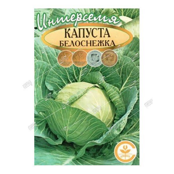 Капуста белоснежка описание сорта фото отзывы садоводов Капуста белокочанная Белоснежка, семена Интерсемя 1г (цена за 2 шт) купить, отзы