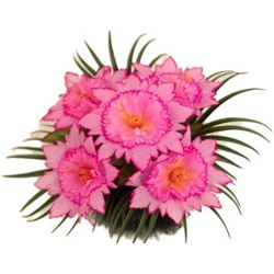 Искусственные цветы, Корзина с цветами "Самхита" для проведения обряда похорон (1010237) в ассортименте