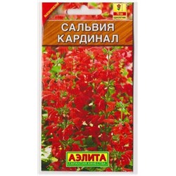 Сальвия Кардинал (Код: 81720)