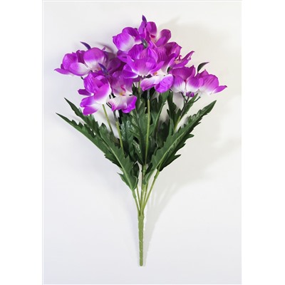 Орхидея "Велес" 21 цветок