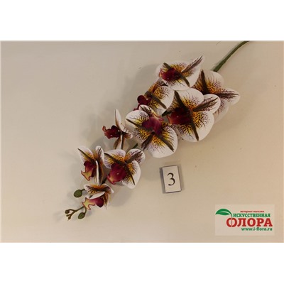 Ветка орхидея