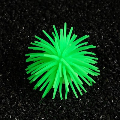 Декоративный анемон для аквариума, 8 х 5 см, зелёный