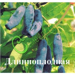 Семена Жимолость «Длинноплодная» - 20 семян Семенаград (Россия)
