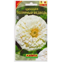 Цинния Полярный медведь (Код: 6570)