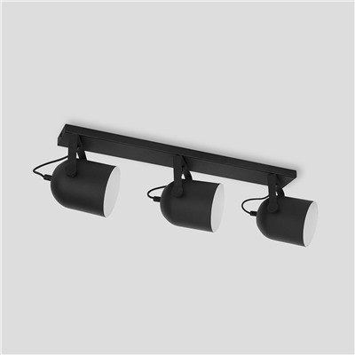 Потолочный светильник в стиле лофт
                     TK Lighting  2609 Spectra Black