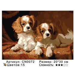 PH23 CN0072, 20х30 см