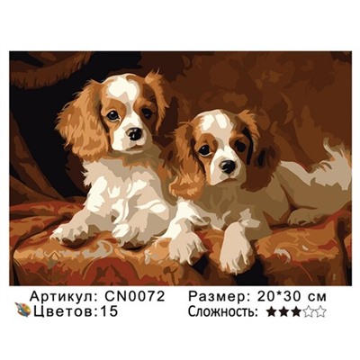 PH23 CN0072, 20х30 см