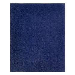 Тетрадь 48 листов в клетку "Синяя", обложка бумвинил