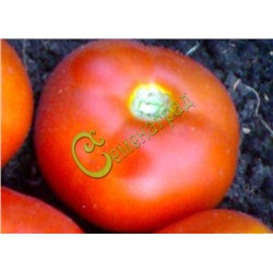 Семена томатов Клеопатра - 20 семян Семенаград (Россия)