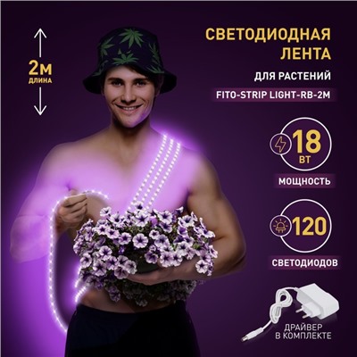 Светодиодная лента для растений ЭРА FITO-Strip Light-RB-2m красно-синего спектра, 2 м, IP65 с адапте