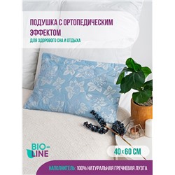 Подушка Bio-Line с лузгой гречихи PG40.60