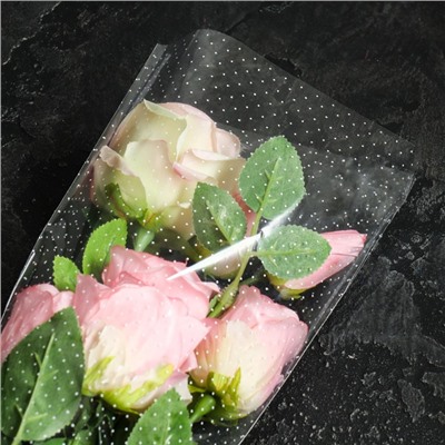 Пакет цветочный Конус 21/80 на 1 розу рисунок/рисунок точки