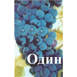 Семена Виноград амурский "Амурский Потапенко № 7" (Амурский прорыв, Один) - 10 семян, 15 упаковок Семенаград оптовый (Россия)