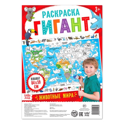 Раскраска - плакат обучающая «Животные мира», 59 × 84 см