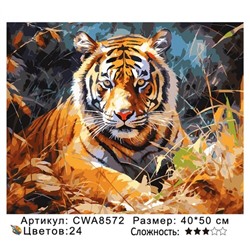 PH45 CWA8572, 40х50 см