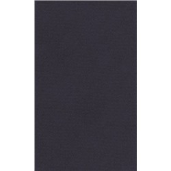Lana Бумага для пастели «Lana Colours», 160 г/м², 50х65 см, 25 л, индиго