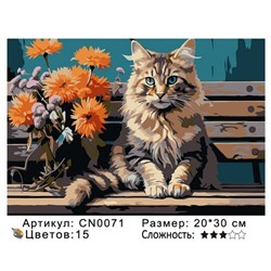 PH23 CN0071, 20х30 см