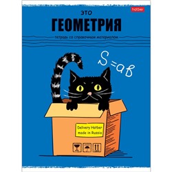 Тетрадь предметная А5,48л,Черный кот ГЕОМЕТРИЯ 073104