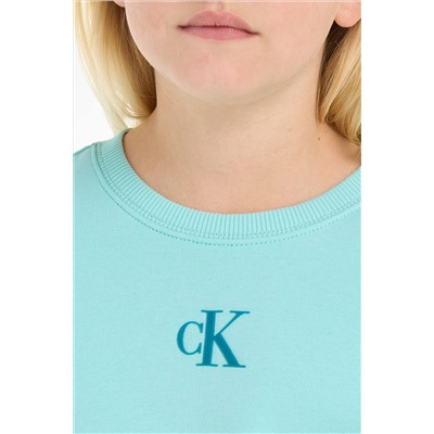 Calvin Klein Blue Logo Sweatshirt