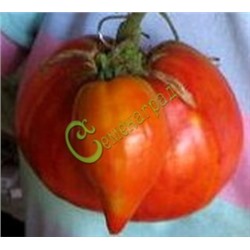 Семена томатов Большое сердце - 20 семян Семенаград (Россия)