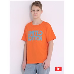 Апрель  футболка 1ПДФК4333001; оранжевый9 / Ограниченный выпуск
