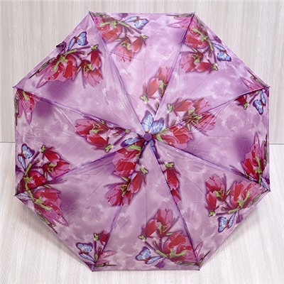 Зонт женский полуавтомат 7810-24