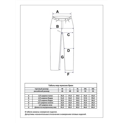 Брюки мужские утеплённые F221-08-23000 d.grey