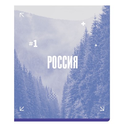 Тетрадь 48л. BG "РФ" клетка (Т5ск48_вл 12283) выб. лак