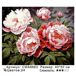 PH 40х50 CWA8663