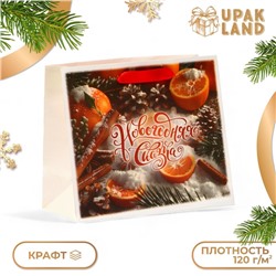 Пакет подарочный новогодний бумажный, "Новогодняя сказка", 24 х 20 х 11 см. Новый год