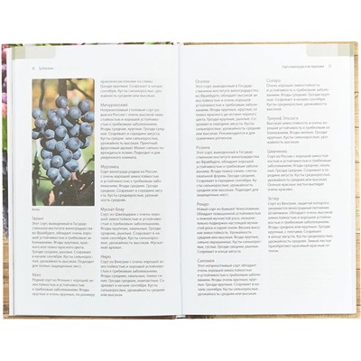 Ульрих, Форстер: Садовый виноград. Иллюстрированное руководство