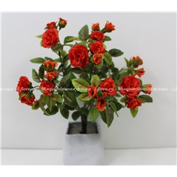 Букет миниатюрная роза 8 стеблей (CH10600058)