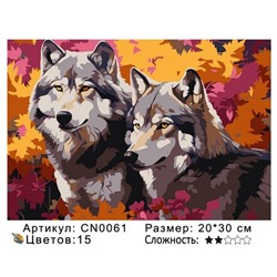 PH23 CN0061, 20х30 см