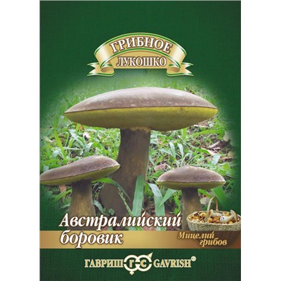 Боровик австралийский гриб на зерновом субстрате, больш. пак. 15 мл (цена за 2 шт)