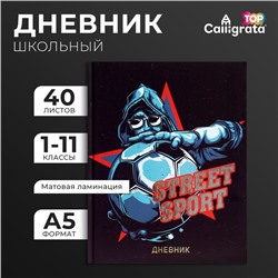 Дневник универсальный для 1-11 классов, Street Sport, твердая обложка 7БЦ, матовая ламинация, тиснение фольгой, 40 листов