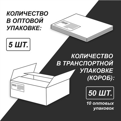 "Светоч" 96ТСК5_12_3_2 Тетрадь ученическая общая, софт тач лак, A5+ 96 л. на скобе 65 г/кв.м , белизна 100 % 5 шт. линия 000338 Magic Colour