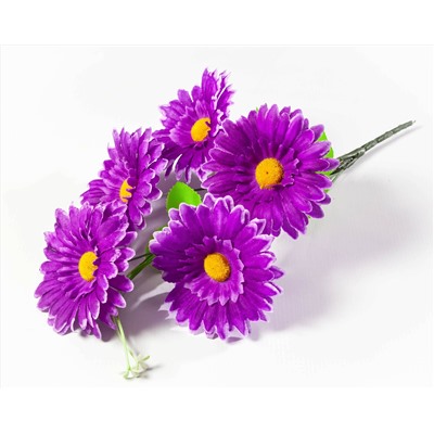 Букет ромашки "Аэлита" 5 веток 5 цветков