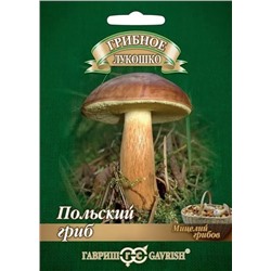 Мицелий грибов Польский гриб