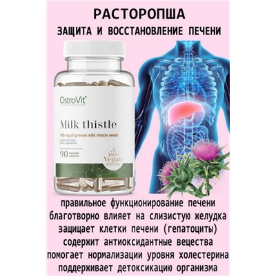 OstroVit Ostropest Plamisty VEGE 90 kaps - РАСТОРОПША