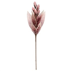 Цветок из фоамирана "Фикус весенний"